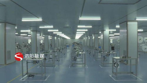 優(yōu)服務(wù)強(qiáng)項(xiàng)目，科技賦能 泗陽意楊產(chǎn)業(yè)科技園的高質(zhì)量發(fā)展之路